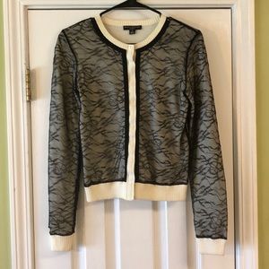 Black Lace  & Winter White Sweater